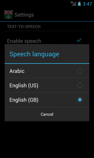 English Arabic Dictionary Program