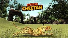 African cheetah: Survival sim