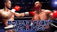 Boxing fight: Real fist