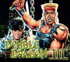 Double dragon 3