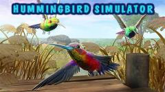 Hummingbird simulator 3D