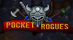 Pocket rogues