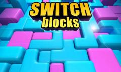 Switch blocks