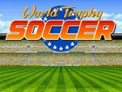 World trophy soccer