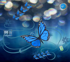 1bluebutterfly