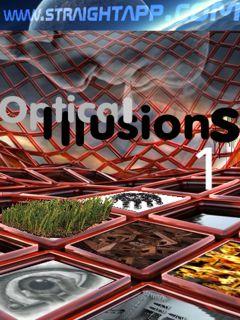 Optical Illusions 1