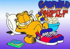 Garfield: Caught in the act