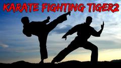 Karate fighting tiger 3D 2