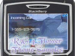 'Flower' BUNDLE for the BlackBerry 8700