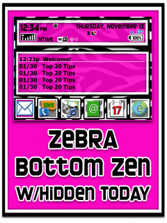 Zebra in Pink Bottom Zen w/Hidden Today+ 8520/Curve Theme