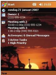 African Beauty Theme for Pocket PC