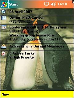 Bird 005 Theme for Pocket PC