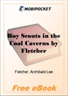 Boy Scouts in the Coal Caverns for MobiPocket Reader