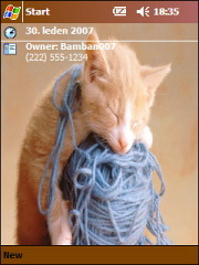 Cat Theme for Pocket PC