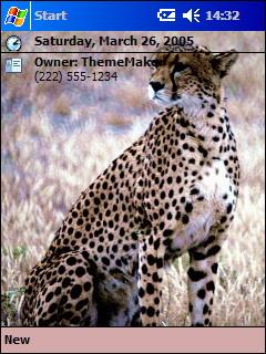 Cats 6 Theme for Pocket PC