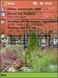 DKB Fall In NYC 2 Theme for Pocket PC