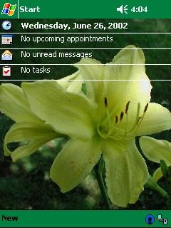 Day Lily 01 Theme for Pocket PC