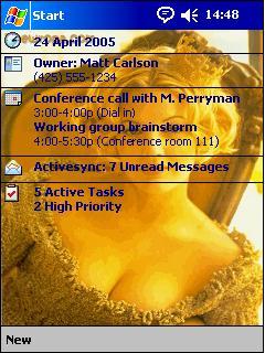 Drew Barrymore 2 Theme for Pocket PC