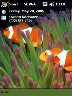 Fish 1 VGA Theme for Pocket PC