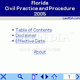 Florida Civil Practice and Procedure Law
