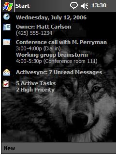 Gray Wolf 31 Theme for Pocket PC