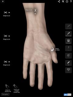 Hand and Wrist Pro III