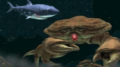 Hungry Shark - Part 2 for Android