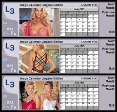 Image Calendar Lingerie Edition for Nokia 9500/9300