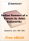 Indian Summer of a Forsyte In Chancery for MobiPocket Reader