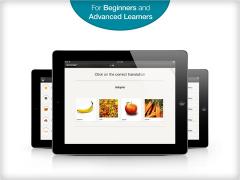 Learn Turkish with babbel.com on iPad