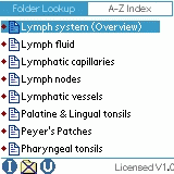 Lymphatic Anatomy Flash Cards (Bryan Edwards) for Palm OS