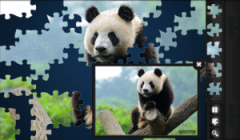 Magic Puzzles: Endangered Species (BlackBerry)
