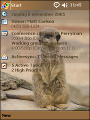 Meerkat Theme for Pocket PC