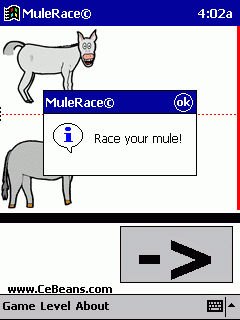 MuleRace