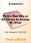 Peck's Bad Boy at the Circus for MobiPocket Reader
