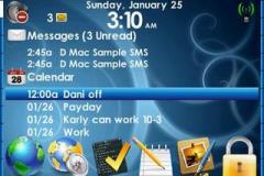 Pro Slim Font Theme for BlackBerry 9000 Bold