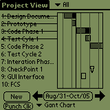 Project Punch