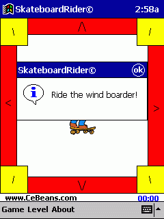 SkateboardRider