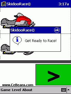 SkidooRace