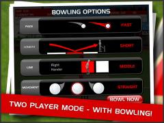 Stick Cricket for iPad