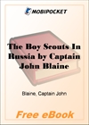 The Boy Scouts In Russia for MobiPocket Reader