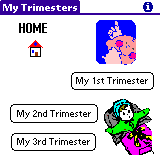 Trimesters