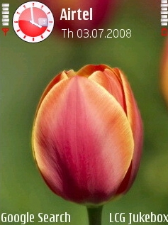 Tulips Theme
