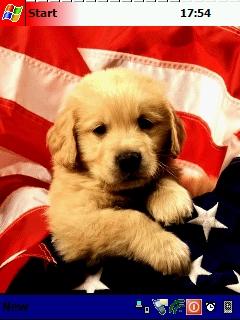 US flag puppy Theme for Pocket PC