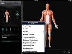 Virtual Human Body