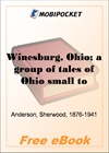 Winesburg, Ohio; a group of tales of Ohio small town life for MobiPocket Reader