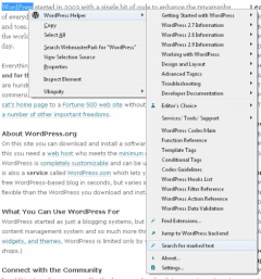 WordPress Helper - Firefox Addon