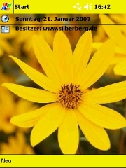 Yellow Flower Theme for Pocket PC