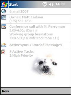 Young seal NT Theme for Pocket PC