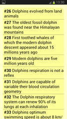 Amazing Dolphin Facts